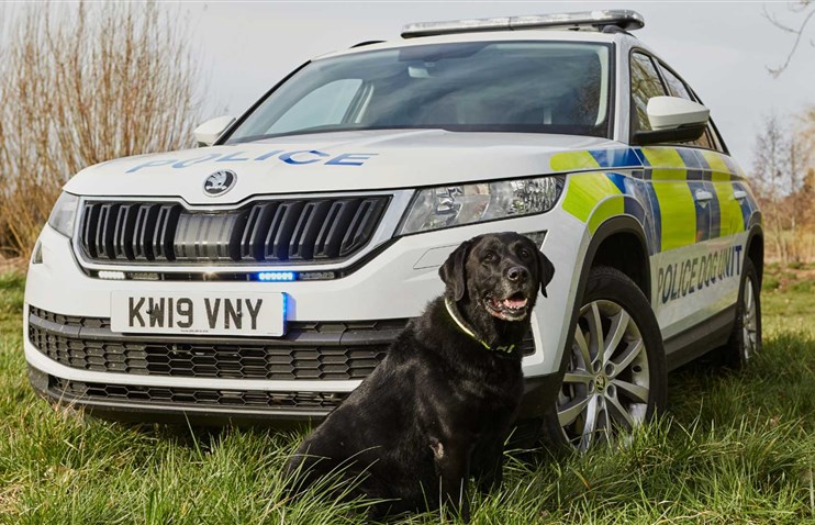 Skoda Kodiaq-ის ახალი ფუნქცია: პოლიციის ძაღლის ვენი