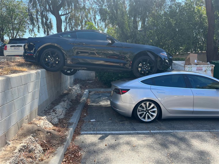 Tesla, Mustang