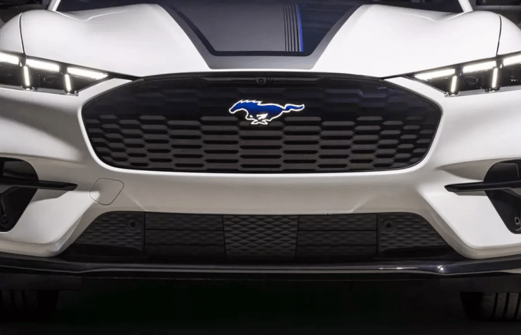 აშშ-ში არც ისე მოხერხებულმა მძარცველმა GPS ტრეკერით აღჭურვილი მუსტანგი მოიპარა