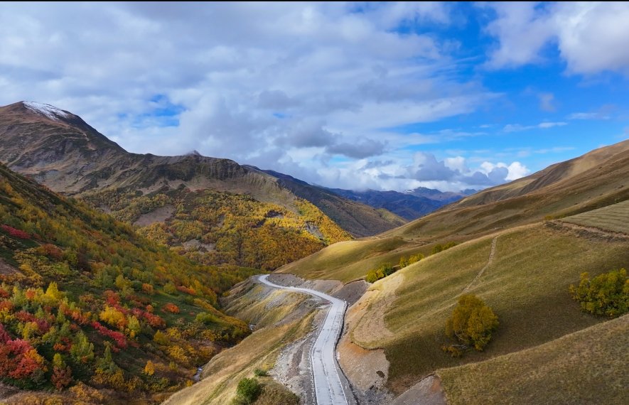 საქართველო, გზების რეაბილიტაცია, საქართველოს საავტომობილო გზების დეპარტამენტი