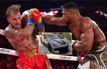 ჯეიკ პოლმა თავის ავტოკოლექციას უიშვიათესი Ferrari შემატა