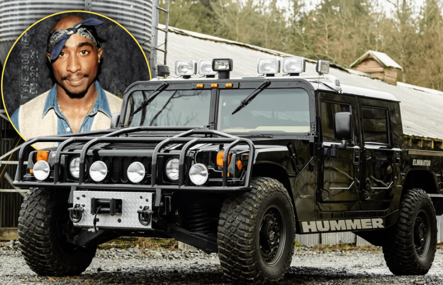 აუქციონი, ჰამერი, ჰამვი, ჰამერი ეიჩ1, თუფაქ შაკური