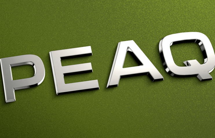 Skoda-მ ახალ ფლაგმანს სახელი შეურჩია | როგორი იქნება Skoda Peaq