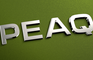 Skoda-მ ახალ ფლაგმანს სახელი შეურჩია | როგორი იქნება Skoda Peaq