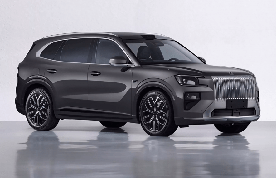 სუვი, დამუხტვადი ჰიბრიდი, ჯილი, ზიკერი, ზიკერ 8იქსი