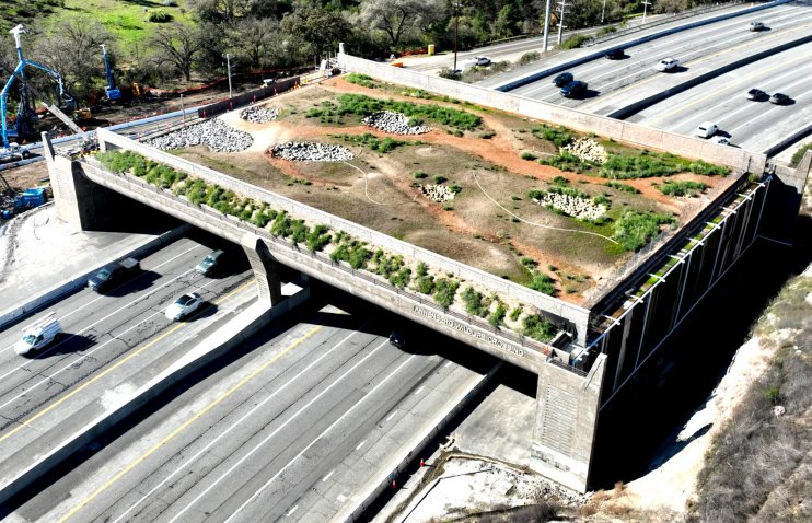 კალიფორნიის $19-მილიონიანი ხიდი, რომელზე გადასვლაც ადამიანებსა და მანქანებს ეკრძალებათ