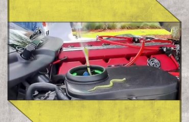 მსოფლიოში ყველაზე უნიკალური Dodge Viper-ი, გველის თემატიკით