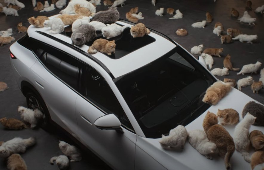 ჩერი, ჩინური, რეკლამა, ომოდა, ომოდა 7