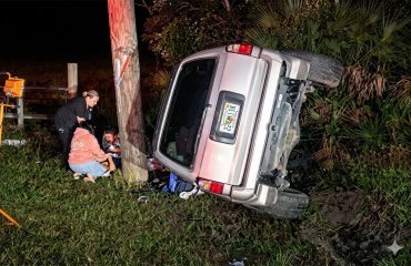 Toyota 4Runner-ი 3-მეტრიან ალიგატორთან შეჯახებამ გაანადგურა