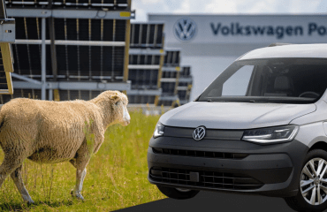 Volkswagen-მა ქარხანაში გაზონის საკრეჭების ნაცვლად, ცხვრის ფარა დაასაქმა