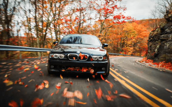 ყველაფერი კარგადაა, როდესაც M5-ით ასე გასეირნება შეგიძლია