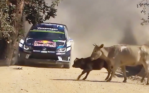 20 ყველაზე სასაცილო მომენტი რალიდან