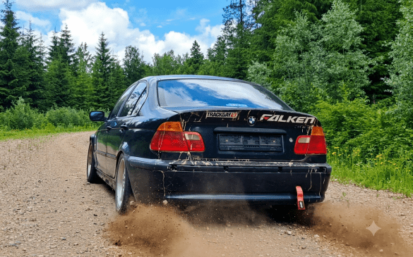 BMW რალიშიც ბრწყინავს? 